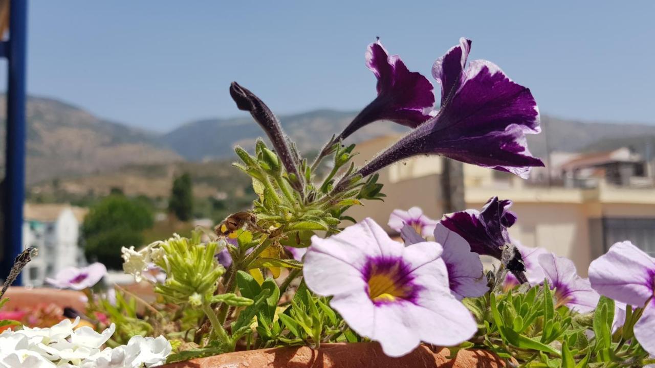Posada Alpujarra Sol Орхива Екстериор снимка
