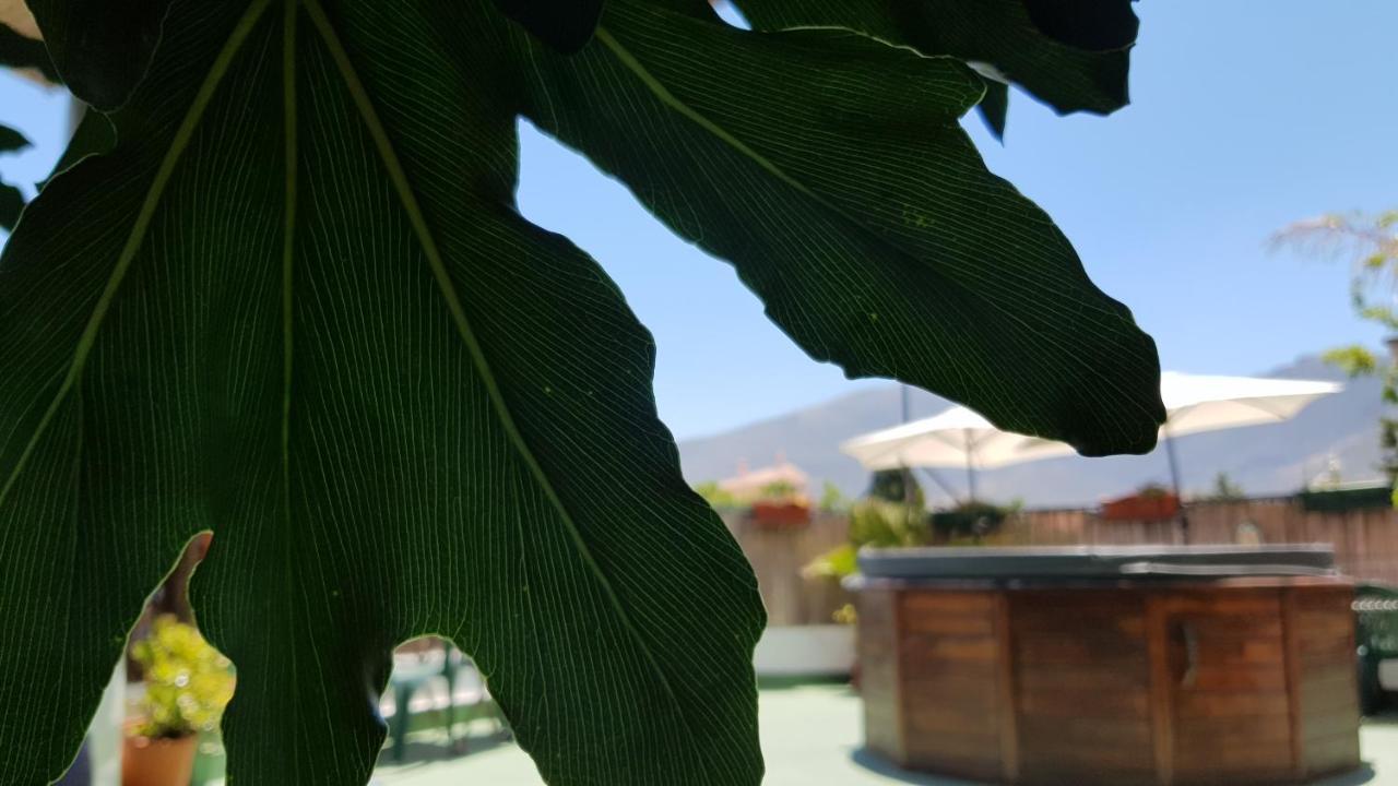 Posada Alpujarra Sol Орхива Екстериор снимка