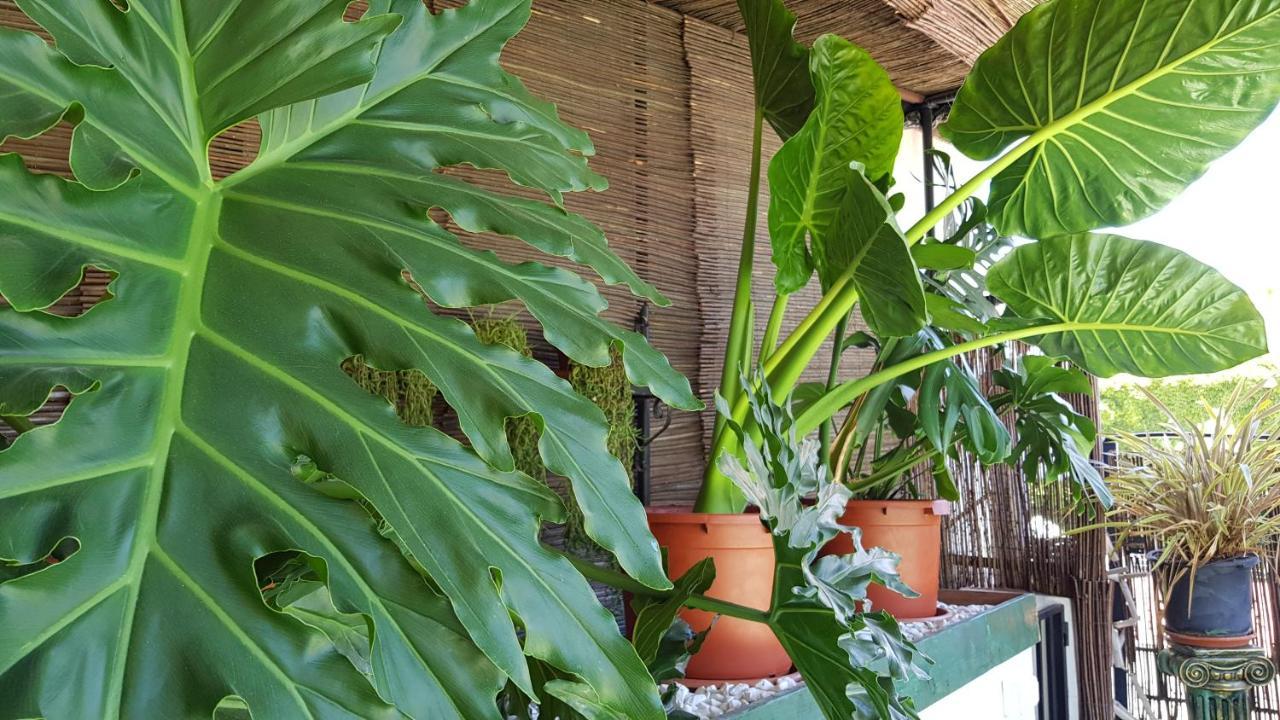 Posada Alpujarra Sol Орхива Екстериор снимка